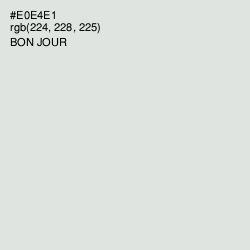 #E0E4E1 - Bon Jour Color Image